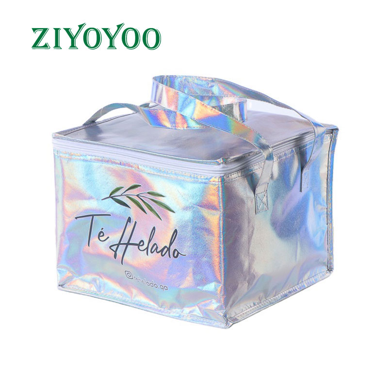 Laminated Cooler Bag, Water-proof Cooler Bag
