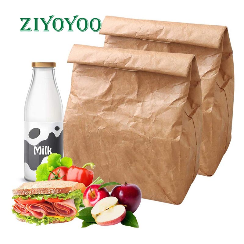 Tyvek Bag,Tyvek Lunch Bag,dupont tyvek bag