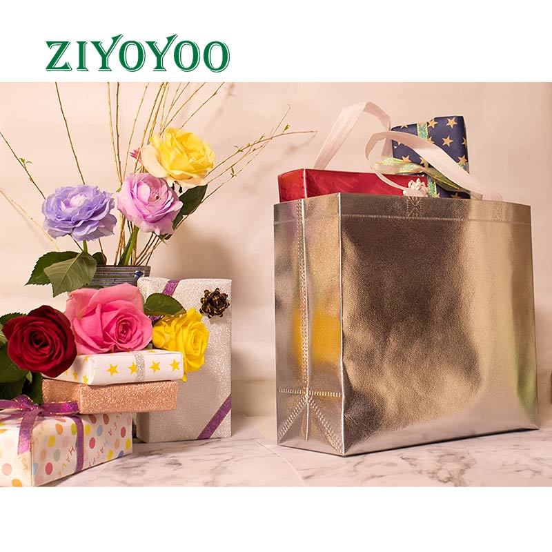 pp non woven bag