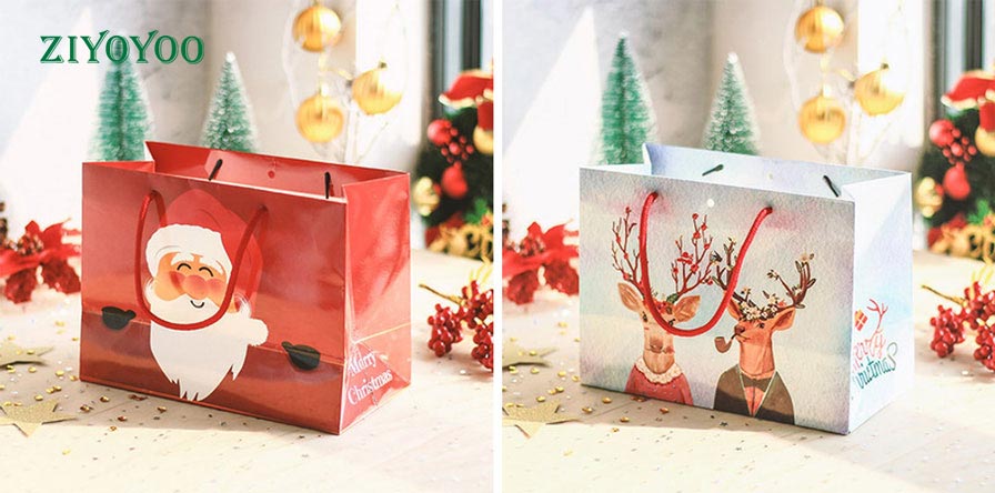 Paper Gift Bag