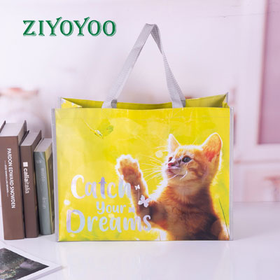 laminated non woven tote bag