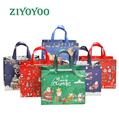  Non-woven Shopping Bags