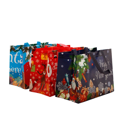 Laminated RPET Non Woven ags