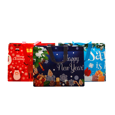 Non-woven Shopping Grocery Bags