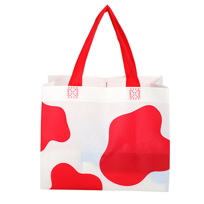 backpack with drawstring