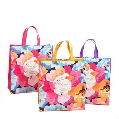 100% biodegradable pp non woven bag shopping