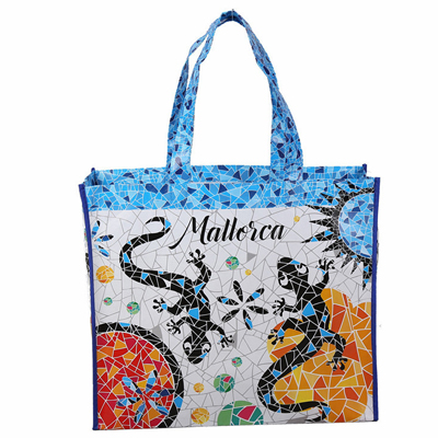 pp non-woven shopping bag