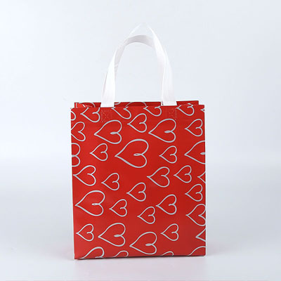 120gsm pp non woven reusable shopping bag