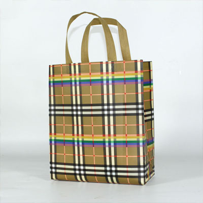 cheap carry pp non-woven laminated bag